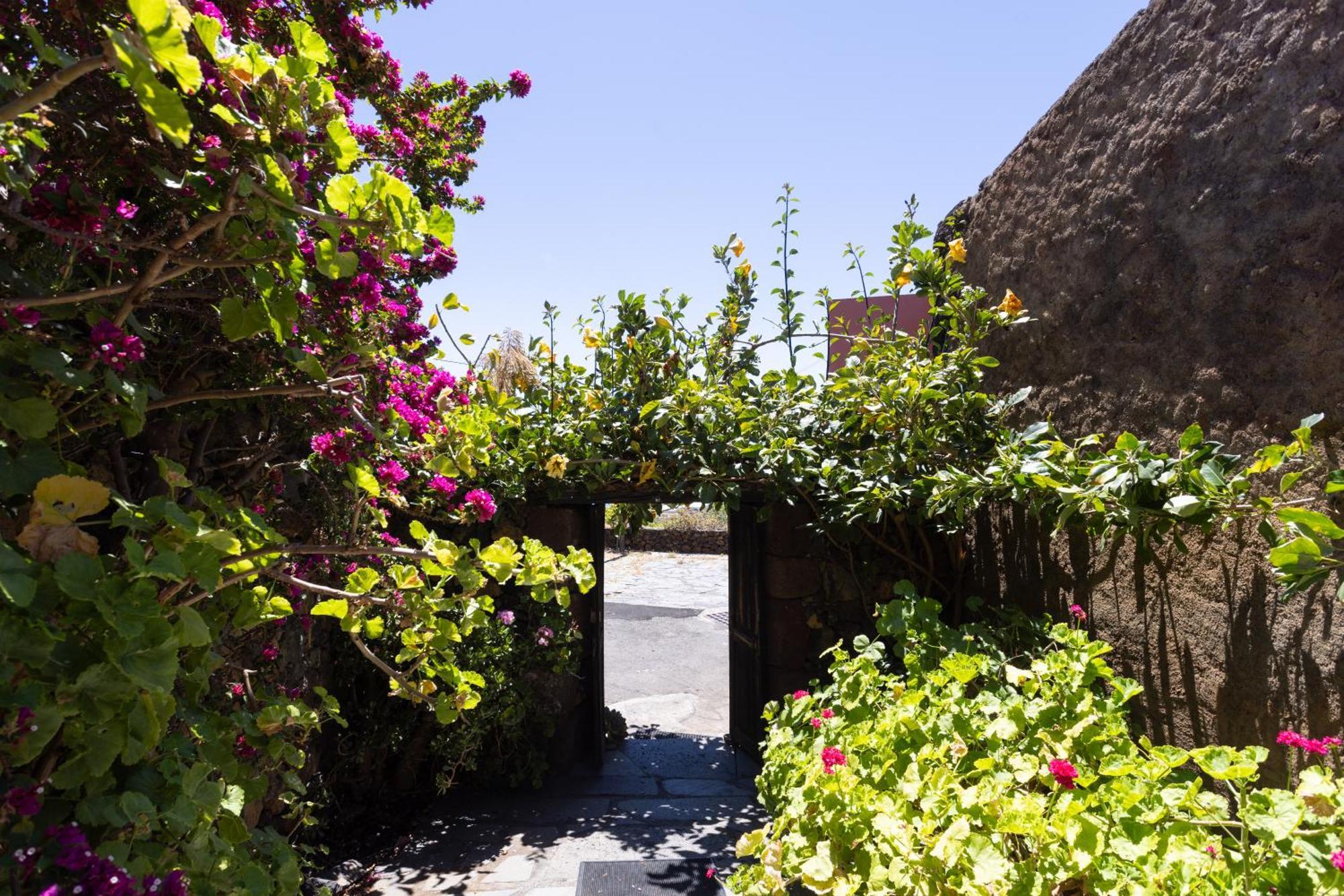 Charming Rustic House El Pinar & Wifi Guest House Luaran gambar