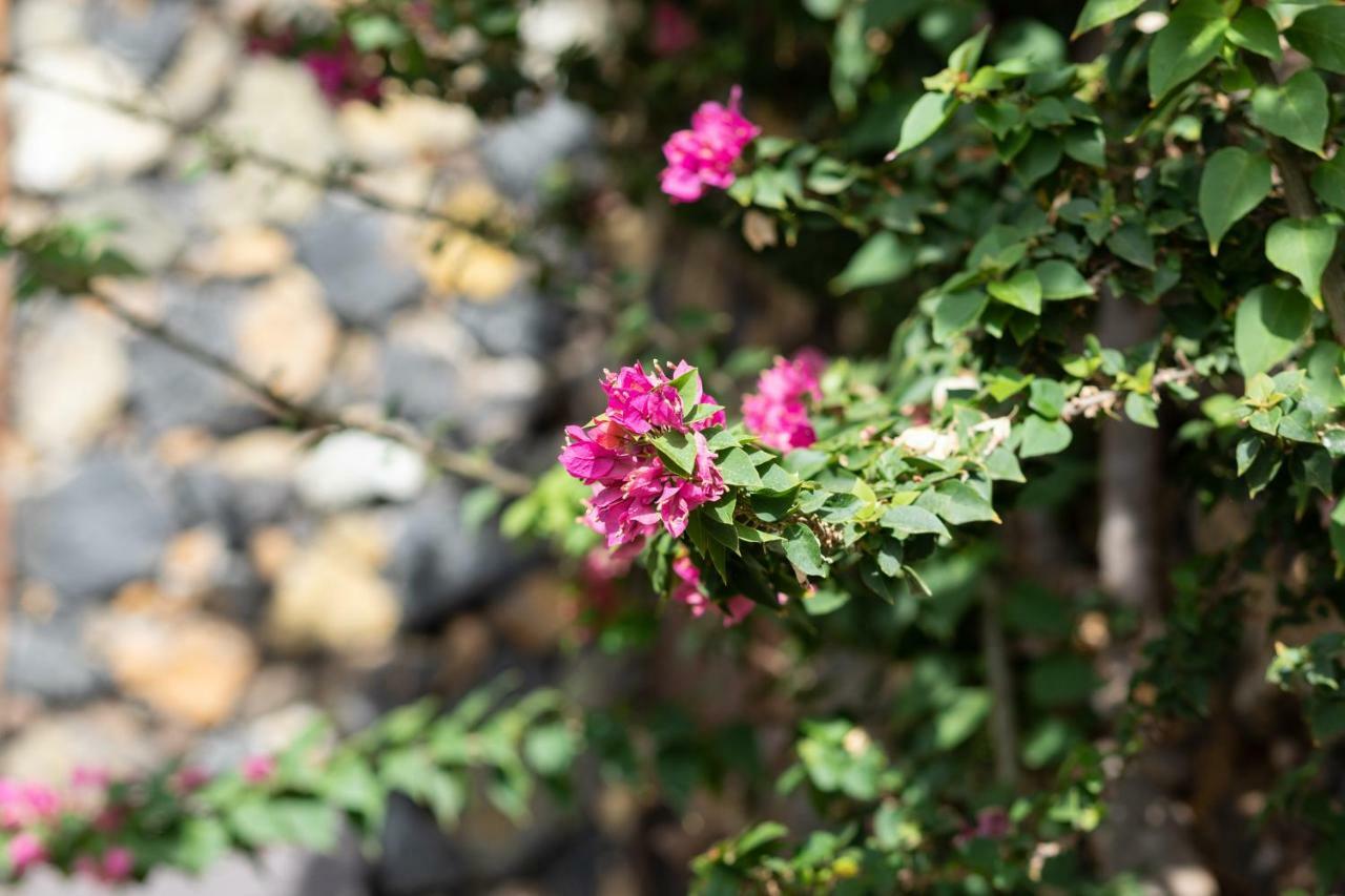 Charming Rustic House El Pinar & Wifi Guest House Luaran gambar